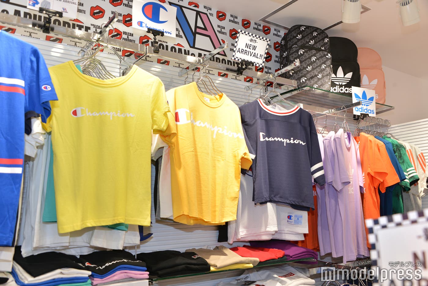 種類が豊富なTシャツ(C)モデルプレス
