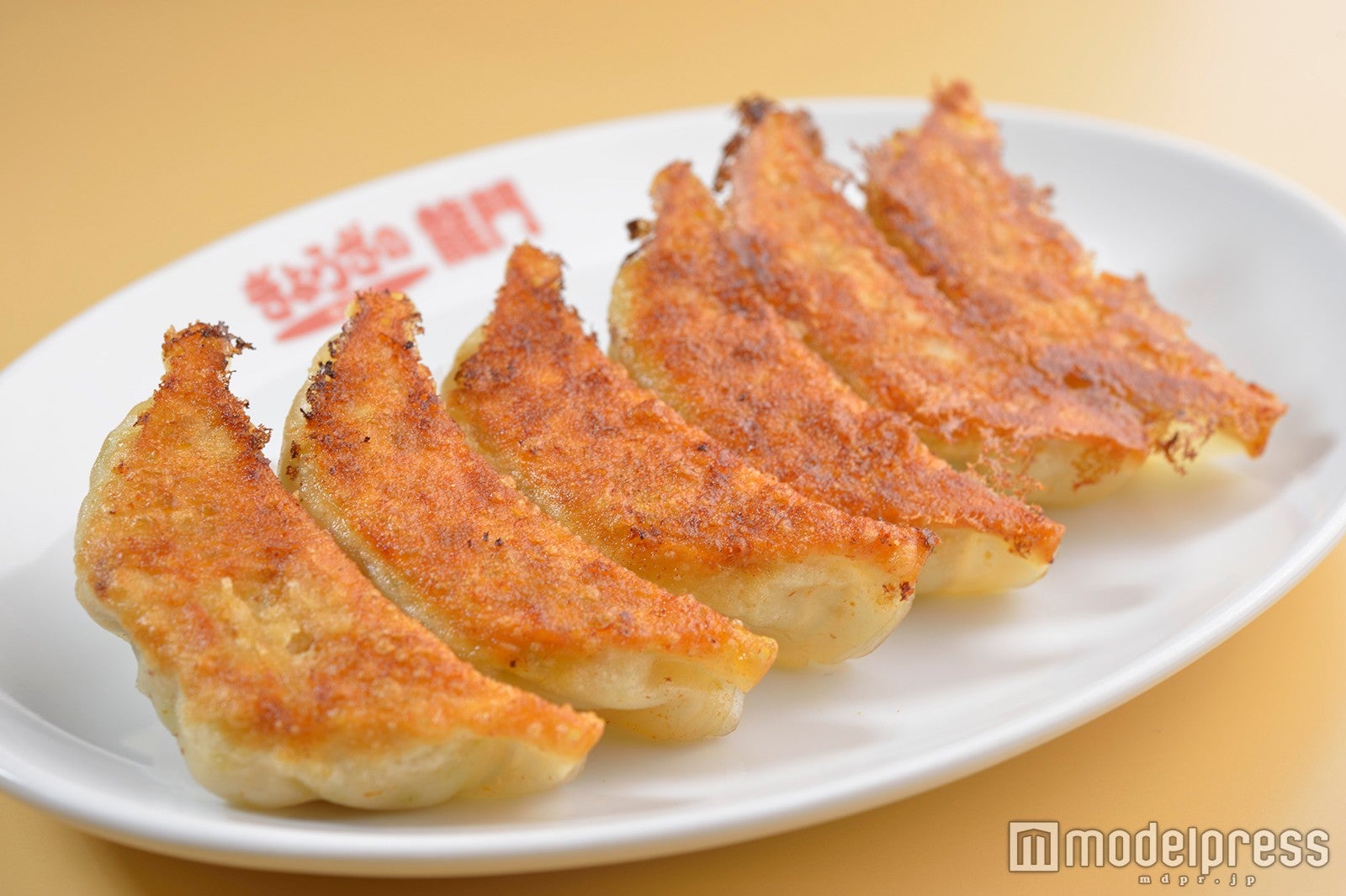 龍門（イメージ）／画像提供：下野新聞社