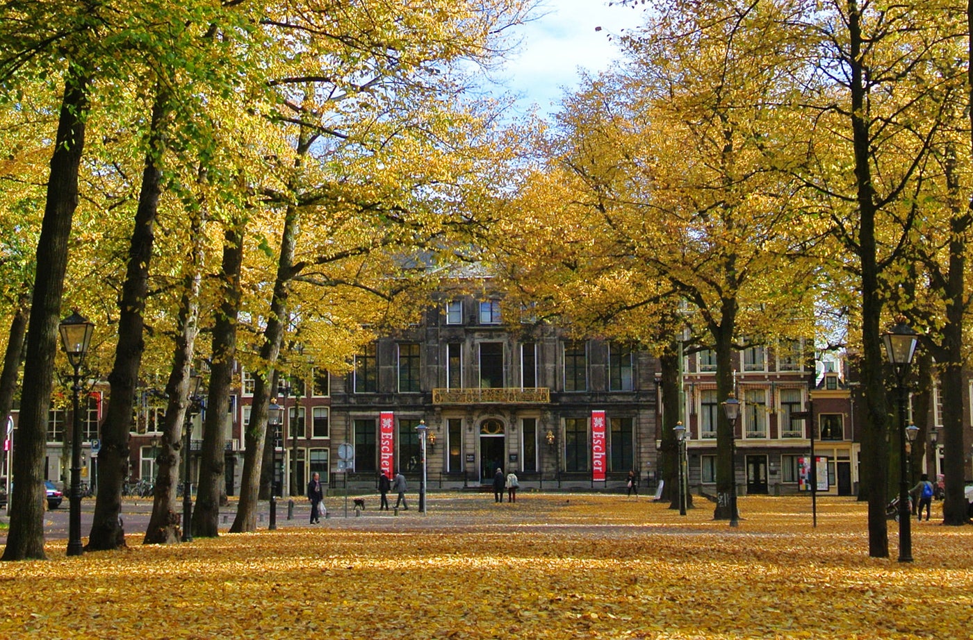 秋のエッシャー美術館前の並木道(c)Escher in The Palace, The Hague, Netherlands