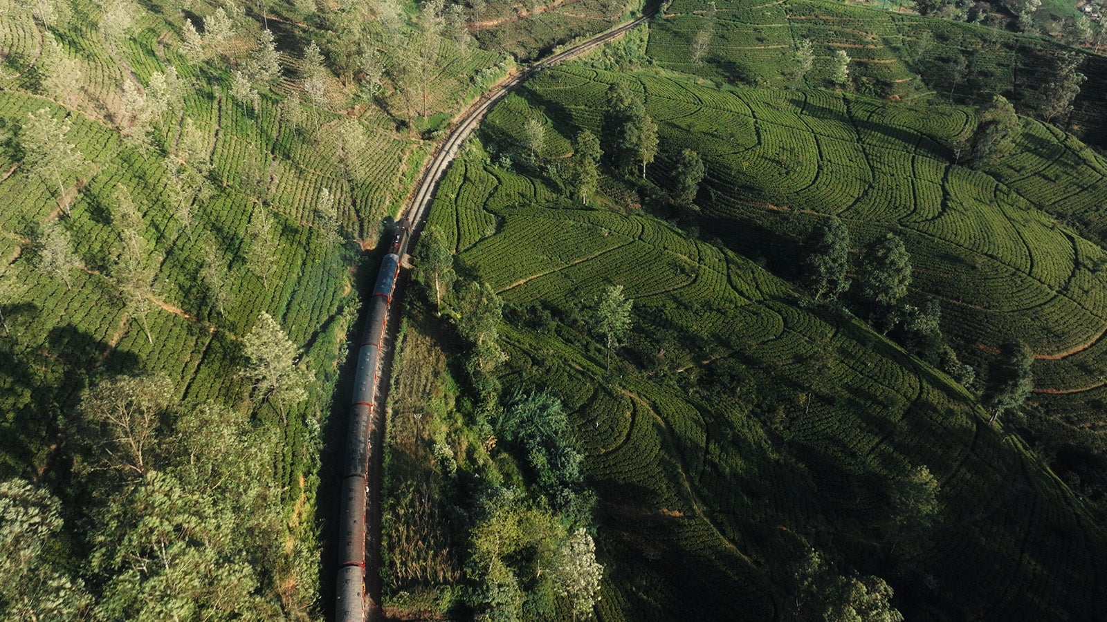 新CM「紅茶鉄道に乗って」篇より（提供写真）