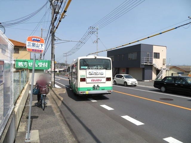 【絶景】地元の人しか知らない？奈良「桜の穴場スポット」