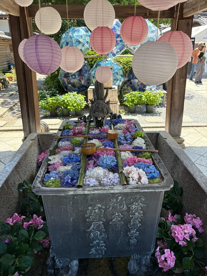 山下伶亜奈「私の最近のマイブーム」(提供写真)