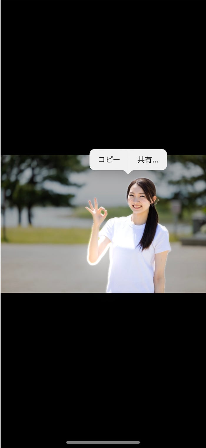 人物だけ共有・コピーも