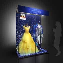 衣装展示(C)2017 Disney