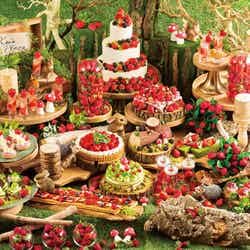 ストロベリーコレクションwith meiji~チョコレートスイーツ×いちご~/画像提供:京王プラザホテル