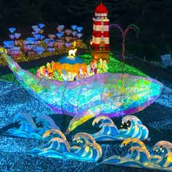 伊豆高原グランイルミ過去の様子/提供画像