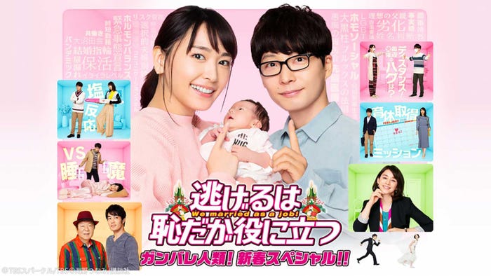 新垣結衣、星野源「逃げるは恥だが役に立つ ガンバレ人類!新春スペシャル!!」ビジュアル(提供写真)
