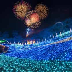 関東最大イルミ×花火が大晦日を彩る 「さがみ湖イルミリオン」で年越しカウントダウン／画像提供：富士急行