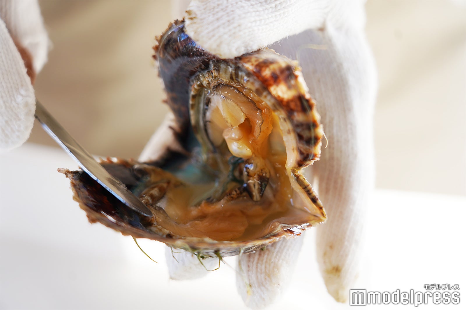 開いた！貝の中に一粒の真珠が…！ （C）モデルプレス