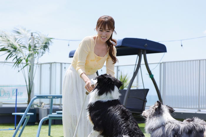 深田恭子「初恋DOGs」(C)TBS