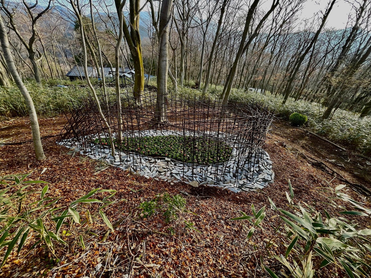 ニコライ バーグマン 箱根 ガーデンズ／提供画像