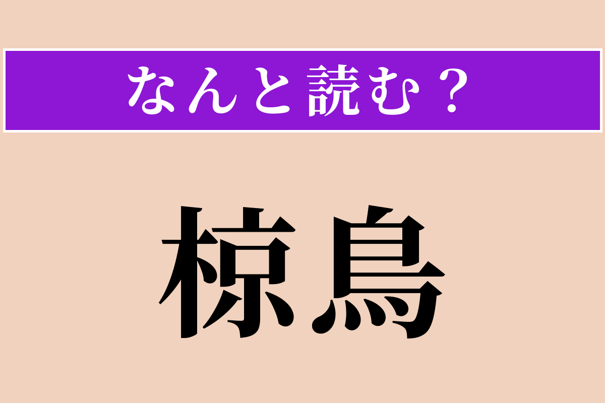 【難読漢字】「椋鳥」正しい読み方は？ 夕方に群れで騒がしく鳴く鳥です