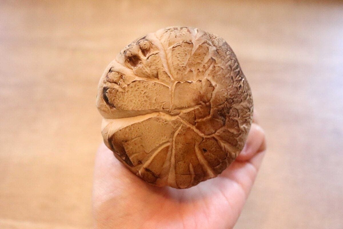 フレッシュネスバーガー