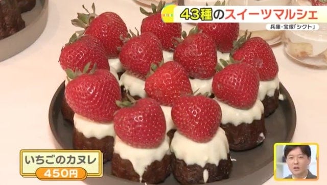 【兵庫】毎日新作が登場!?