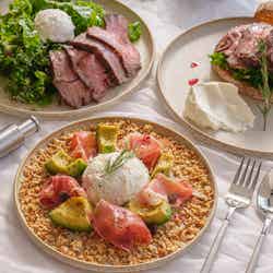 アンドヨーグルト/提供画像