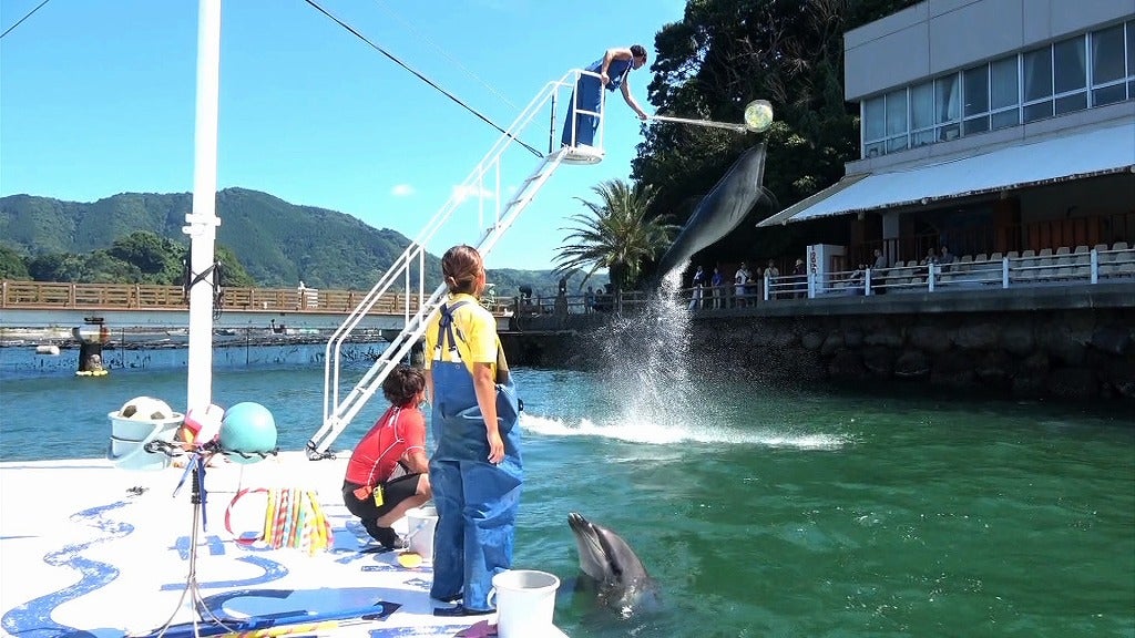 健一「恋んトス」シーズン6（C）TBS