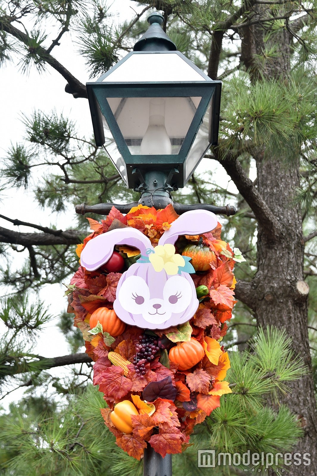 デコレーション（C）モデルプレス（C）Disney