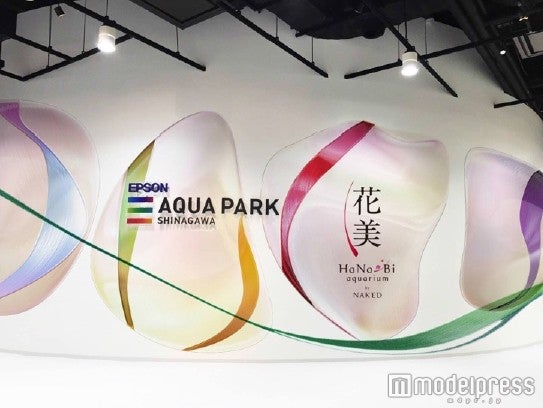 HaNa-Bi aquarium by NAKED／画像提供：横浜八景島