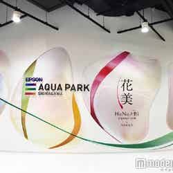 HaNa-Bi aquarium by NAKED／画像提供：横浜八景島