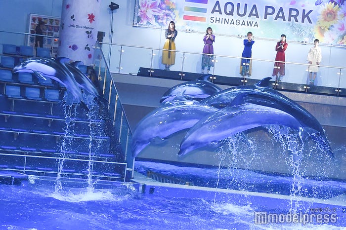 イルカとリトグリ(左から)かれん、MAYU、芹奈、manaka、アサヒ(C)モデルプレス