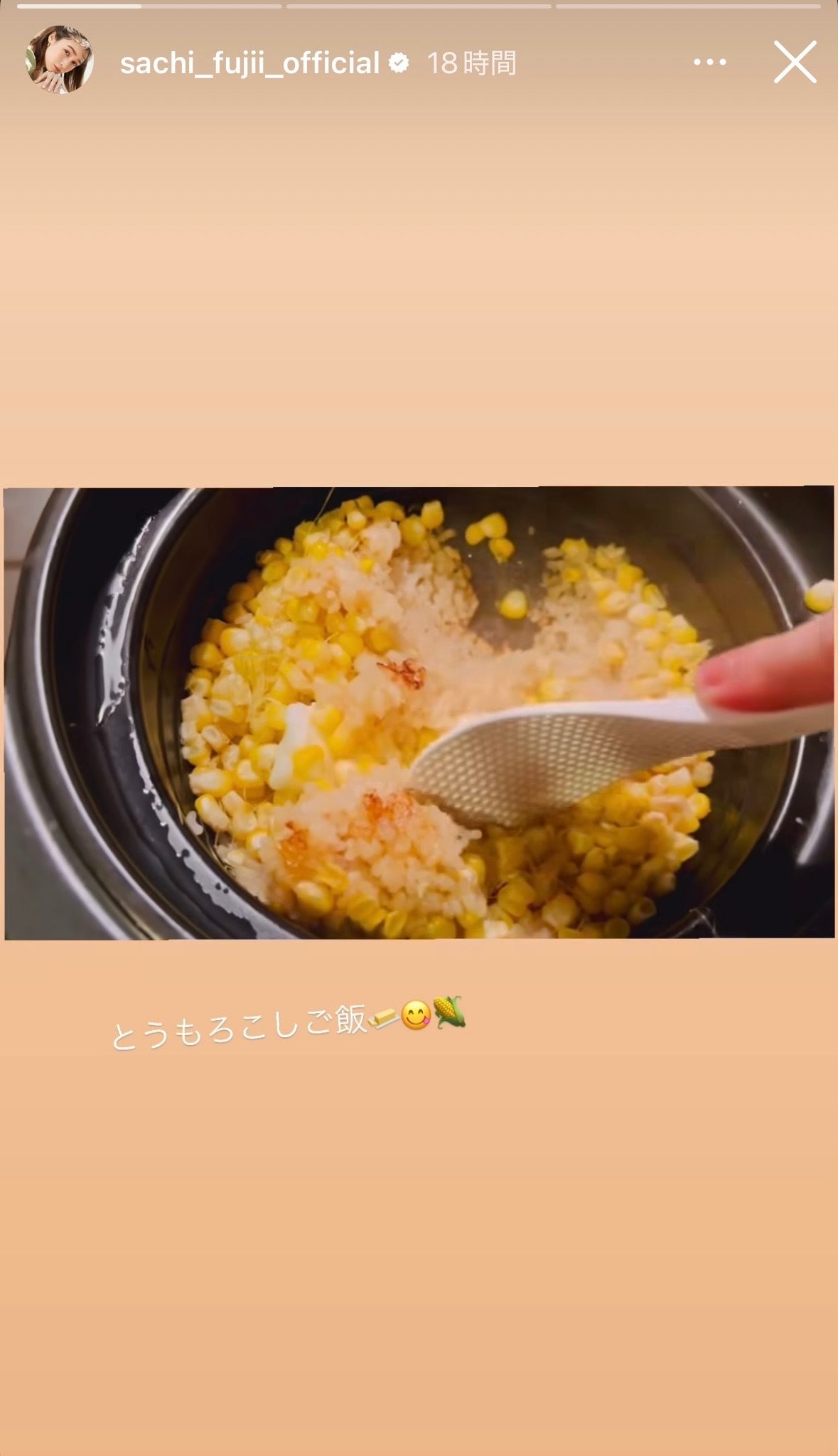 藤井サチInstagramストーリーズより