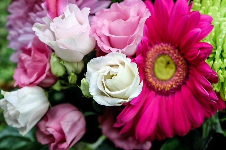 四季別 かっこいい花言葉14選 知るとその花が好きになるとっておきを集めました モデルプレス 四季別 かっこいい花言葉14選 知るとその花が好きになるとっておきを集めました モデルプレス