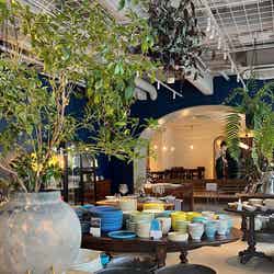 The HARVEST Store & Cafe/提供画像