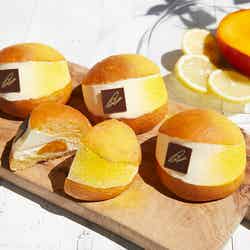 マリトッツォ リモーネ & マンゴー/画像提供:スターバックス コーヒー ジャパン