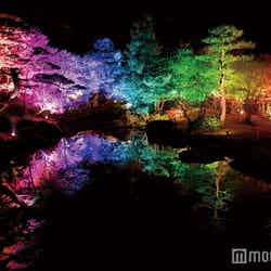 紅葉ライトアップに70万球ジュエルイルミ…見所満載な「由志園」のイルミネーション／画像提供：日本庭園 由志園
