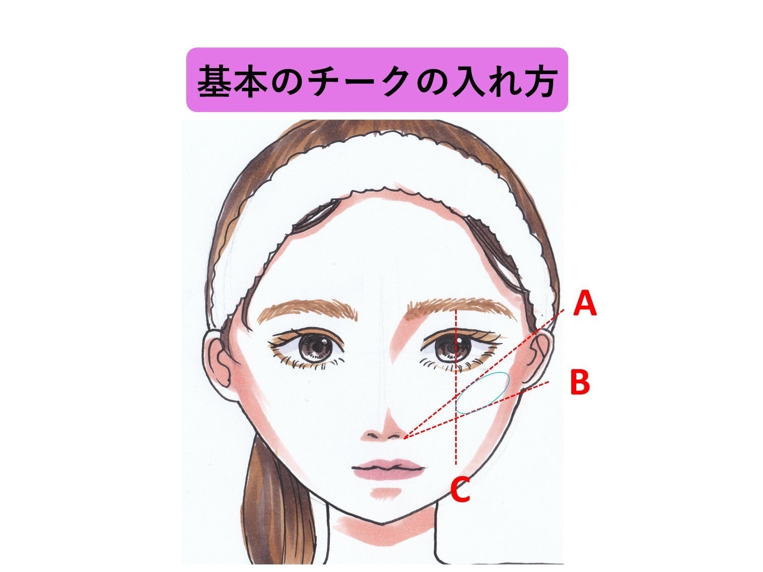 セール 頬骨が高い チーク位置