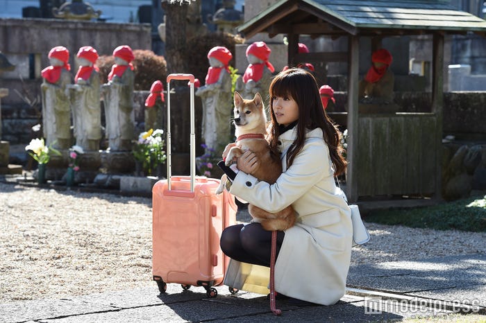 深田恭子/「ダメな私に恋してください」第8話より/画像提供:TBS