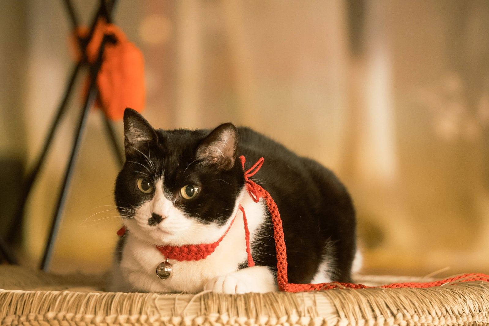 「光る君へ」第27話（C）NHK