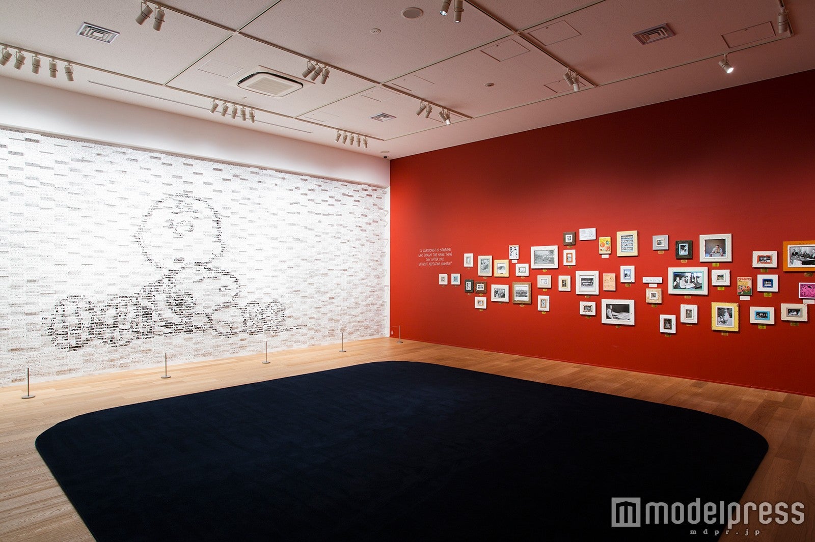 （C）Peanuts Worldwide LLC