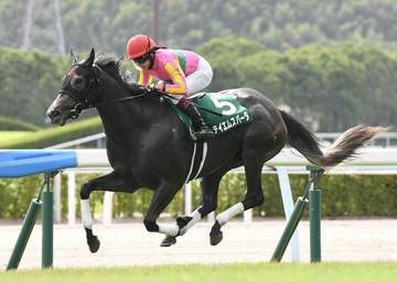 重賞2勝のテイエムスパーダが現役引退して繁殖入り 22年CBC賞で今村聖奈を背に日本レコードで重賞初制覇