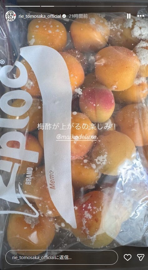 ともさかりえInstagramストーリーズより