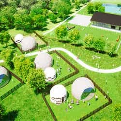 グランハイド ウィズ ドッグ コマツ/画像提供:エイチ・アイ・エス