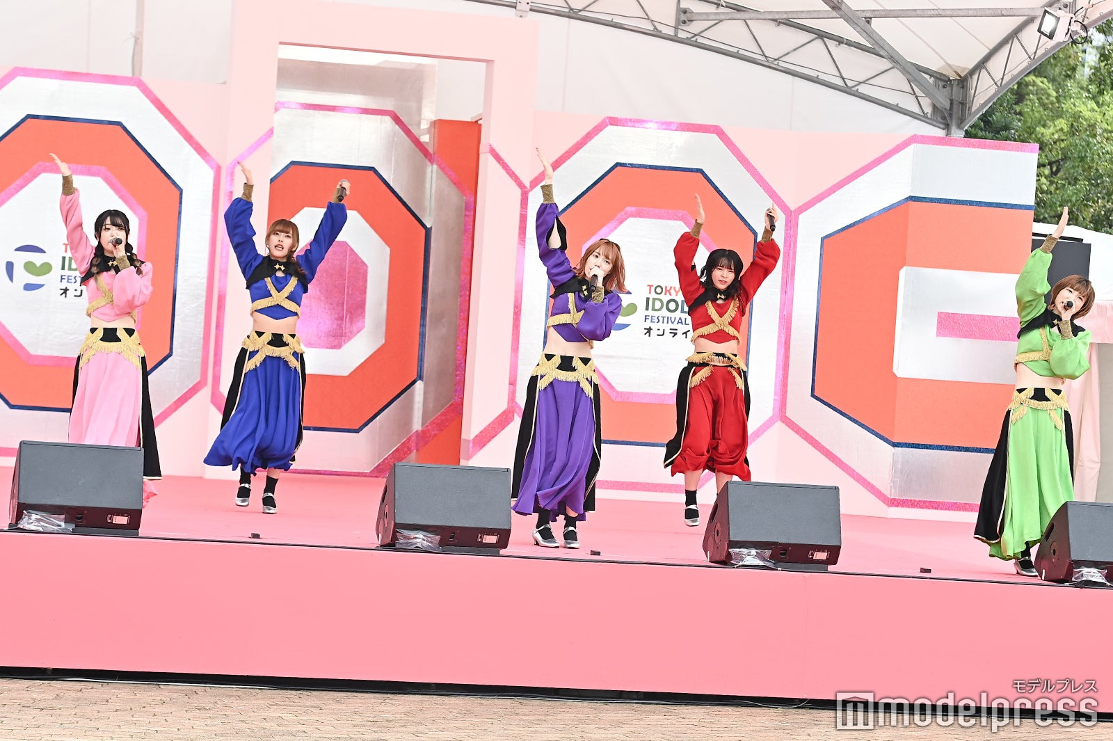 豆柴の大群（C）モデルプレス