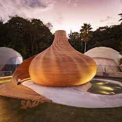 (C) Keishin Horikoshi/SS (C) SS