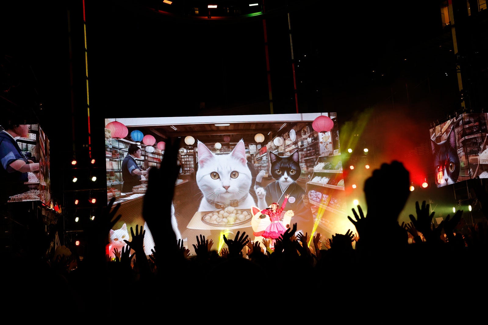 招き猫と詩羽／Photo by アンザイミキ