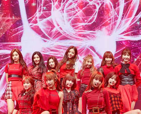 宮脇咲良らIZ*ONE、韓国デビューに感激 涙を浮かべるメンバーも