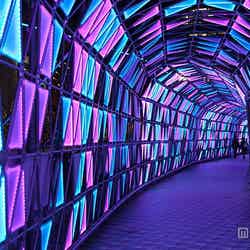 ルミナストンネル(イメージ)/画像提供:東京ドーム