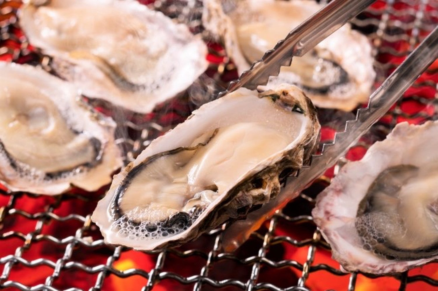 魚ジャパンフェス（提供画像）