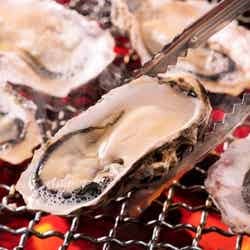 魚ジャパンフェス(提供画像)