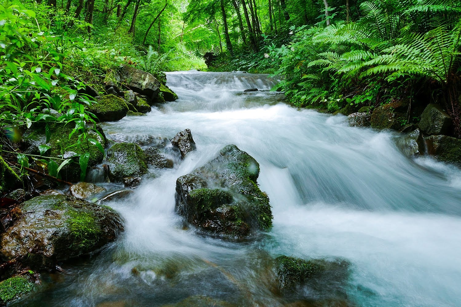 ルトゥール京都／画像提供：ブッキングリゾート
