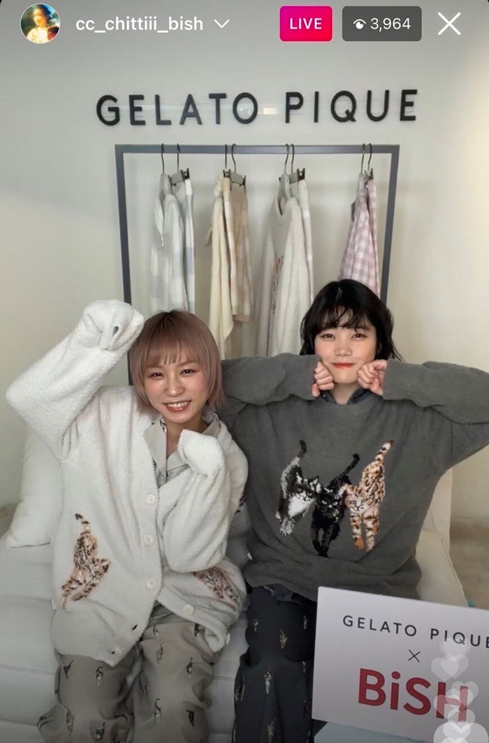 モモコグミカンパニー、セントチヒロ・チッチ(提供写真)