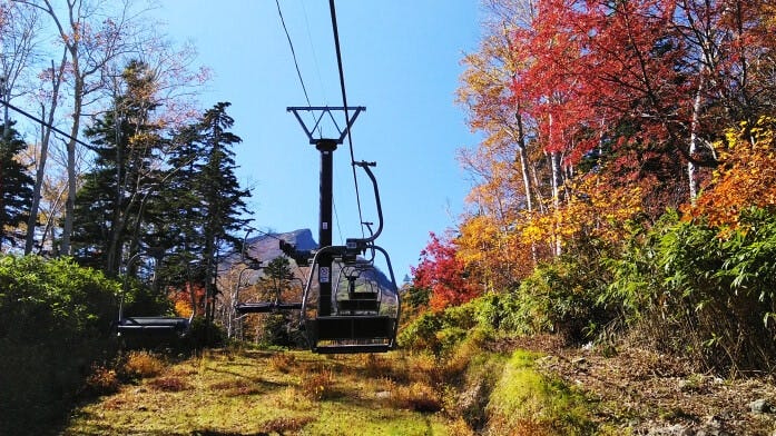 リフトで空中の紅葉お散歩