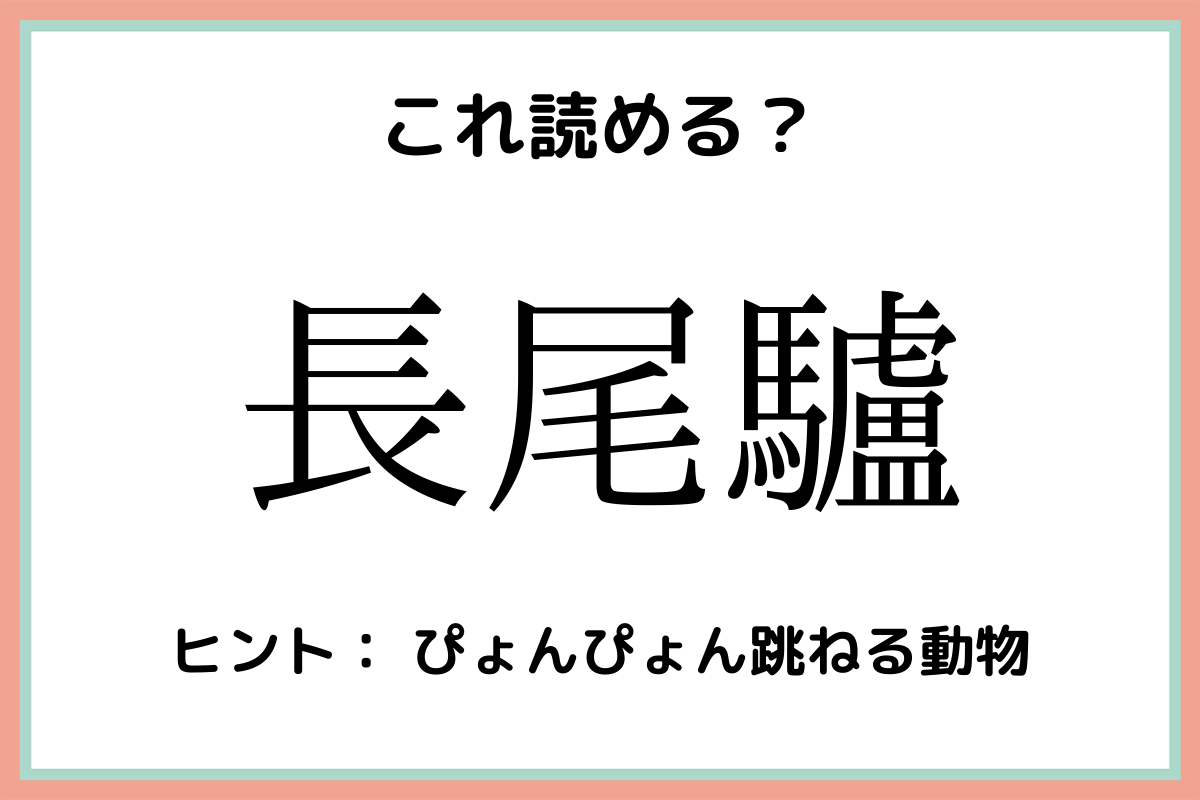 長尾驢 ながお 何 読めたらスゴイ 動物の漢字 まとめ モデルプレス