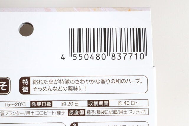 ダイソーの栽培セット　ちりめん青しそのJAN
