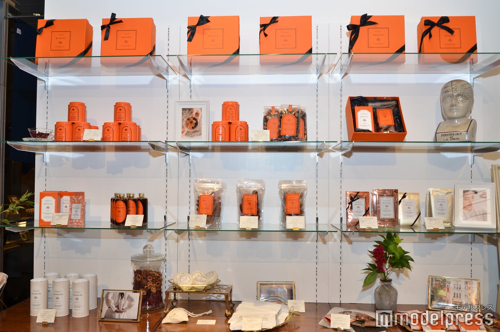 DAYLILY（C）モデルプレス