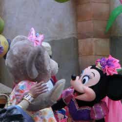 魔法の祭典「スプリングタイム・サプライズ」